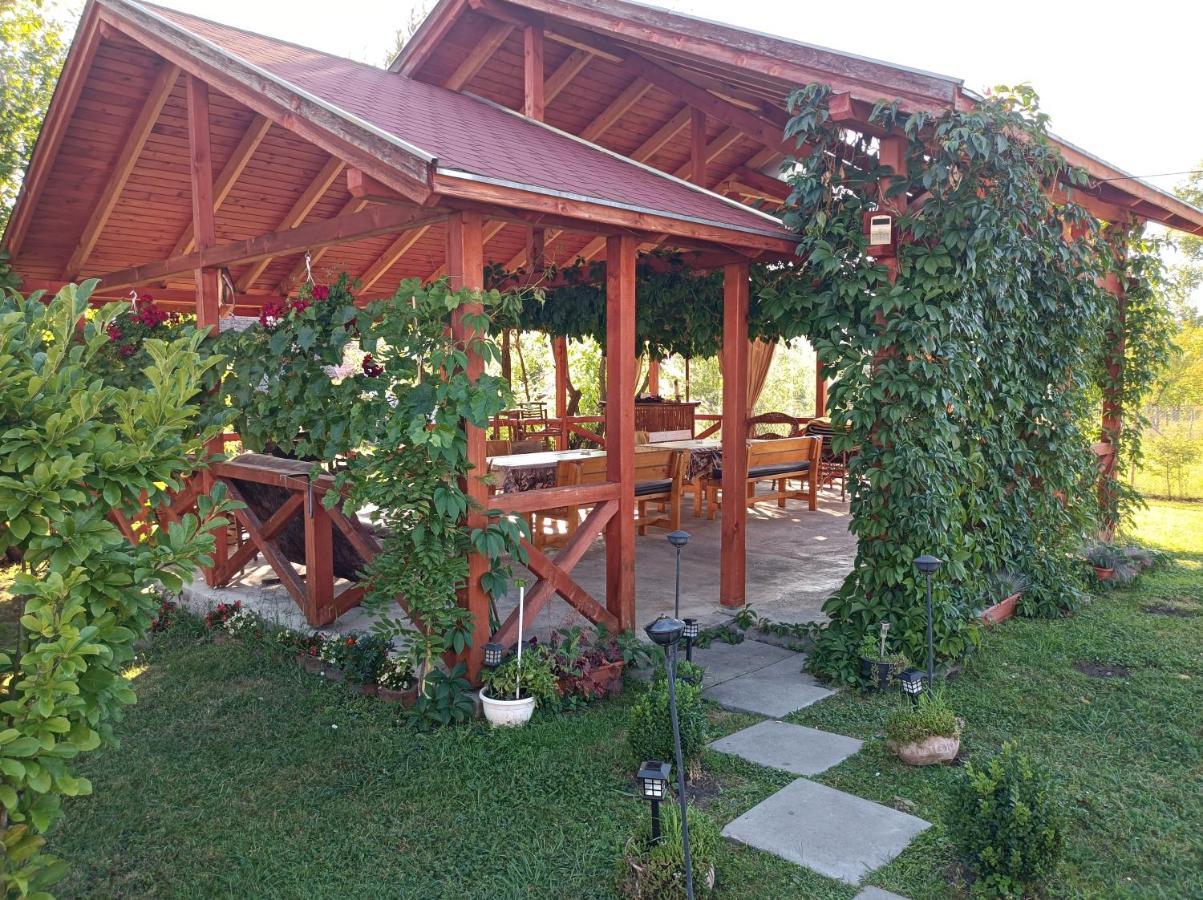 Narcisz B&B Corund  Exterior photo
